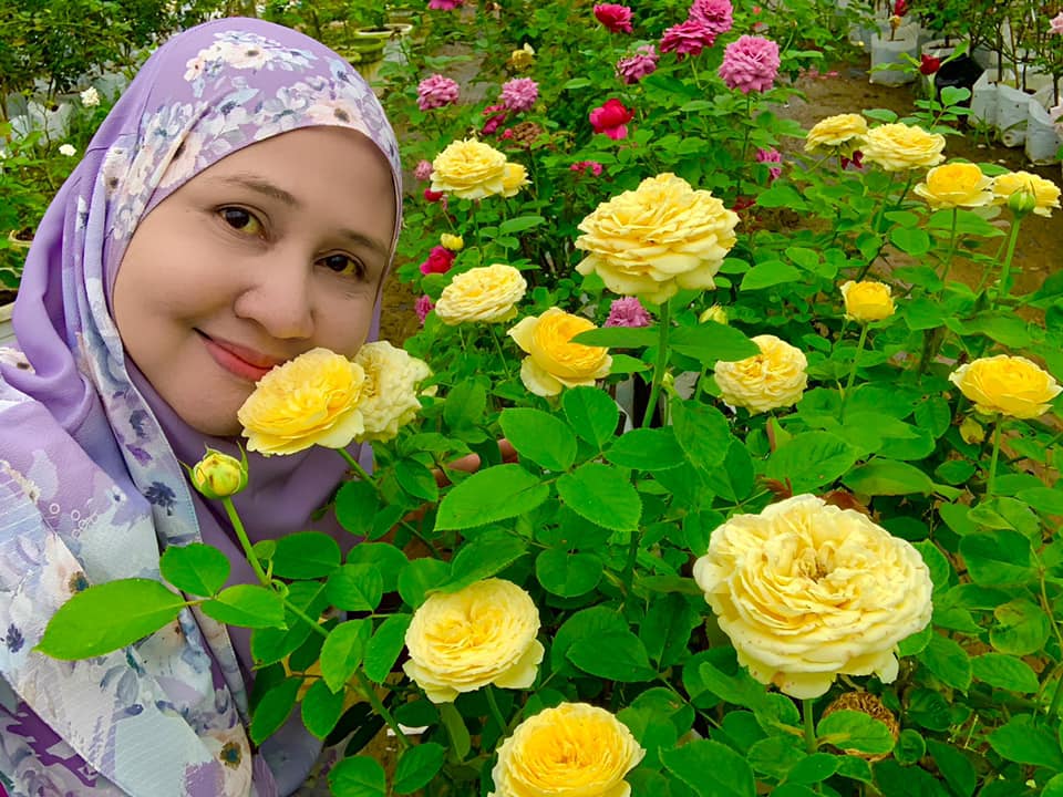 zety roses travel & umrah